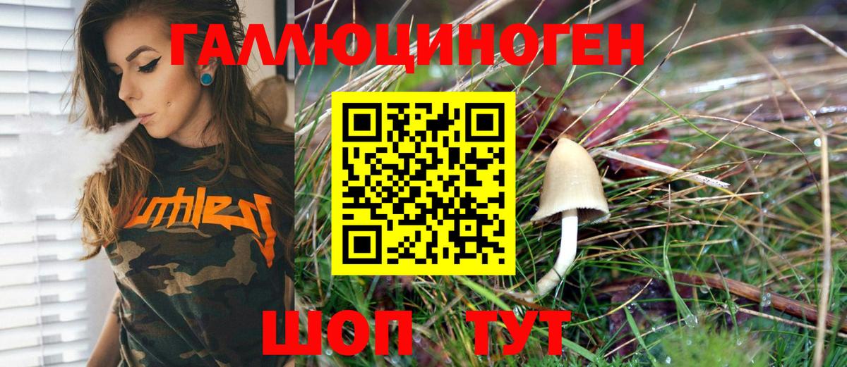 Галлюциногенные грибы GOLDEN TEACHER Братск
