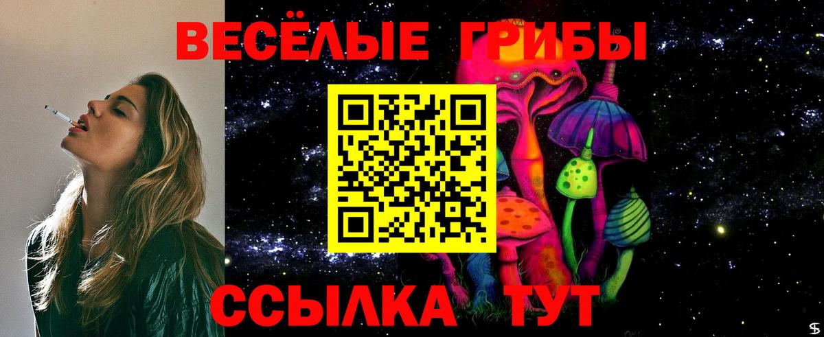 Псилоцибиновые грибы прущие грибы  Вход с VPN  Братск 
